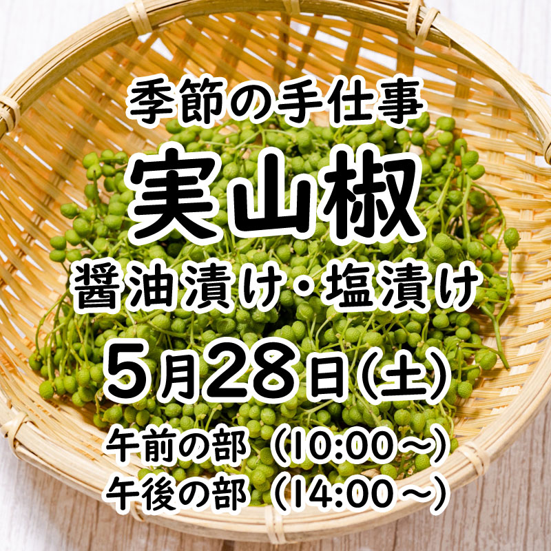 《5月28日》季節の手仕事<br>「実山椒」醤油漬け・塩漬け