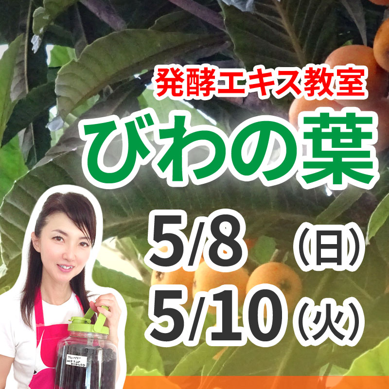 《5月8日、10日》<br>発酵エキス教室「びわの葉」