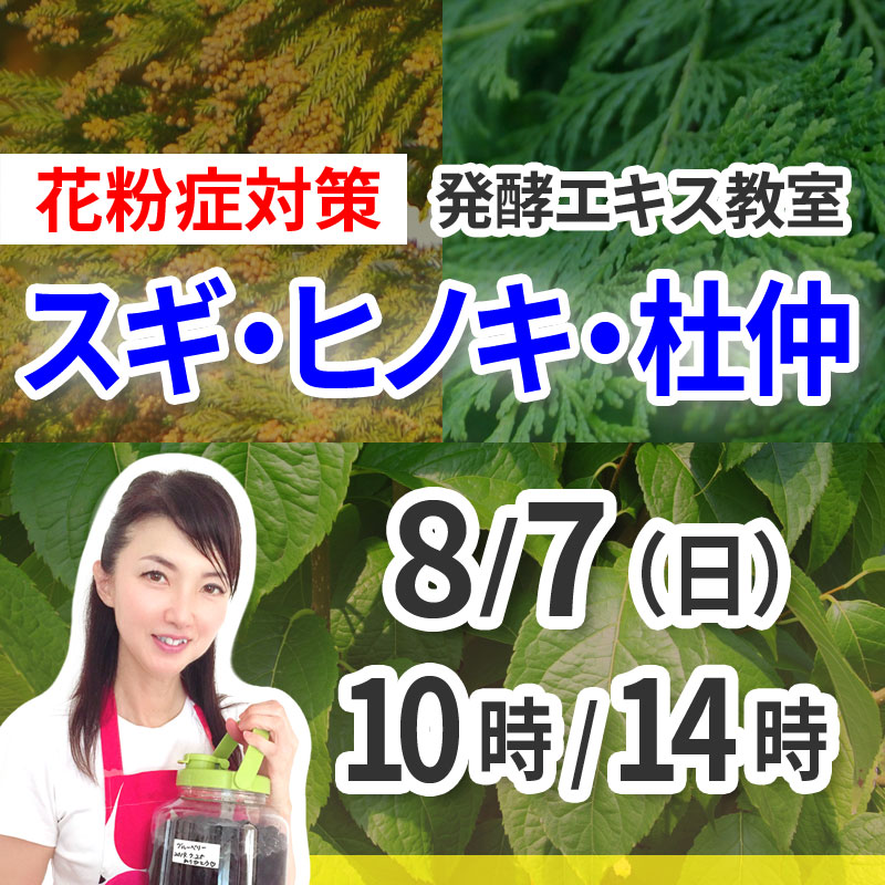 《8月7日》<br>発酵エキス教室「スギ、ヒノキ、杜仲」