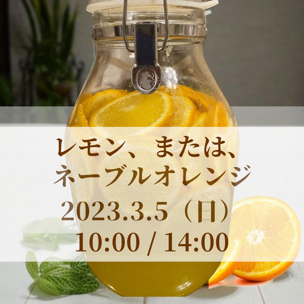 《浜松》3月5日　<br>発酵エキス教室 「レモン」<br>または「ネーブルオレンジ」