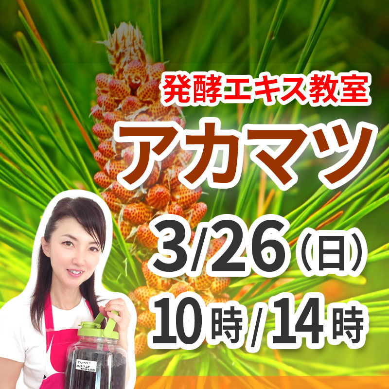 《浜松》3月26日　<br>発酵エキス教室「アカマツ」