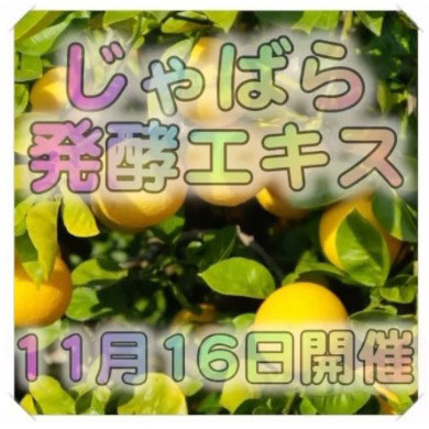 《豊川》11/16　<br>発酵エキスレッスン<br>「じゃばら」